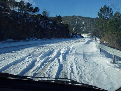 Vista de un área de nieveDescripción generada automáticamente con confianza media