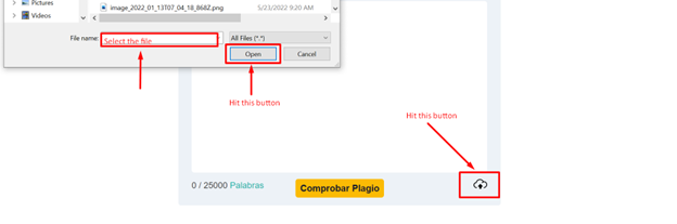 Detector de plagio