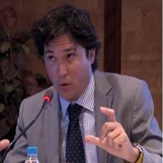 Javier Villegas Flores