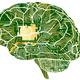 ¿Por qué importa la neurociencia al derecho?