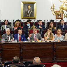 Los nuevos Estatutos del Colegio de Abogados de Granada avanzan hacia su aprobación definitiva tras el respaldo de la Junta General