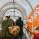 Huelga en easyJet:  estos son tus derechos si viajas entre mañana y el domingo y sufres una cancelación