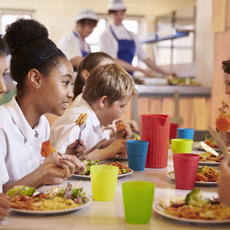 El plan de alimentación escolar (P.A.E) una paradoja jurídica y nutricional 