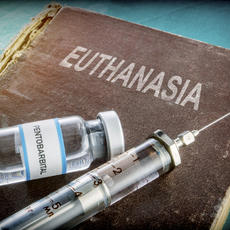 Dos años de la legalización de la eutanasia con menos casos de los esperados