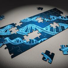5.520 perfiles genéticos en la base de datos de ADN para la investigación criminal