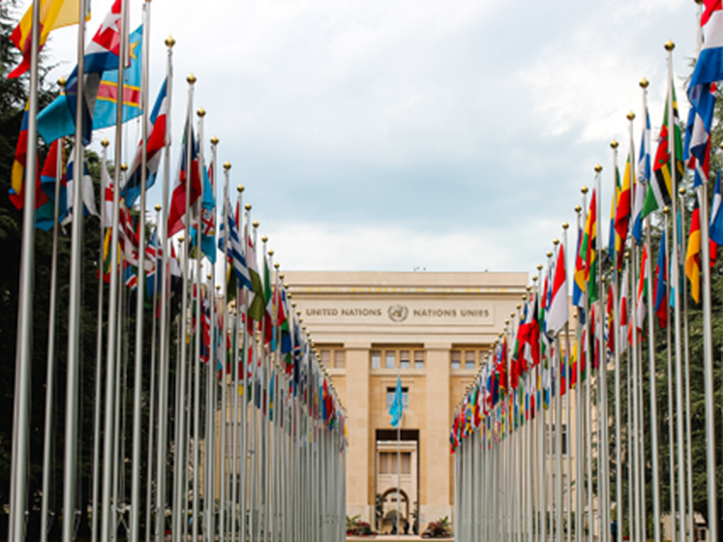 La ONU: Un oasis de oportunidades  para Pymes e Instituciones