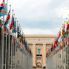 La ONU: Un oasis de oportunidades  para Pymes e Instituciones