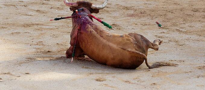 Operadores jurídicos rechazan la posible celebración de una corrida de toros en beneficio de las víctimas del incendio de Valencia
