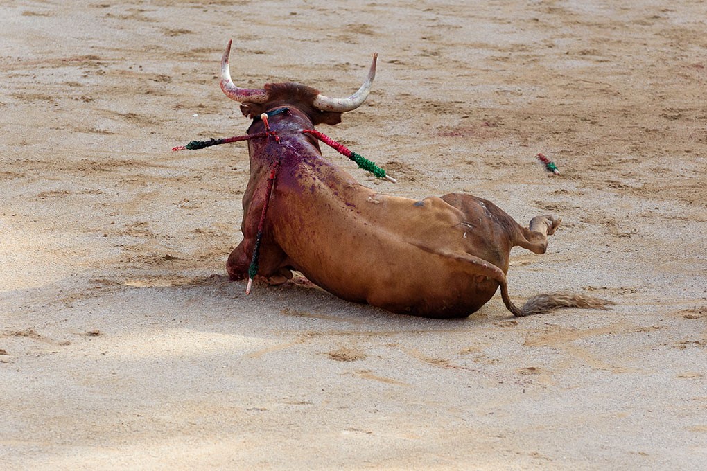 Operadores jurídicos rechazan la posible celebración de una corrida de toros en beneficio de las víctimas del incendio de Valencia