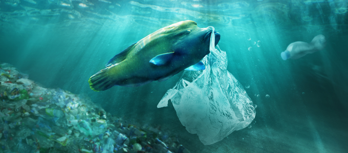 Urge avanzar en regulaciones más específicas para proteger el planeta contra la contaminación por plástico 