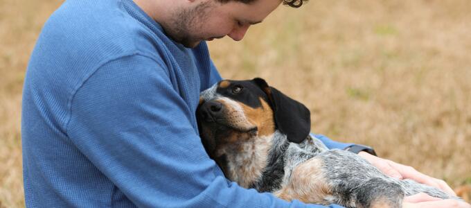 CoPPA presenta una propuesta de reforma laboral para proteger el vínculo entre las personas trabajadoras y sus animales de compañía