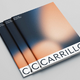 Carrillo estrena universo de marca para reforzar su identidad y dar un nuevo impulso a su crecimiento