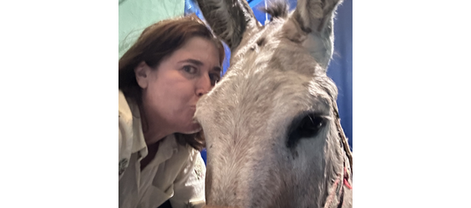 No quiero pedir permiso para salvarle la vida”: una adoptante denuncia presiones de una protectora para eutanasiar a su burro 