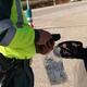 Negarse a hacer el test de alcoholemia: consecuencias penales