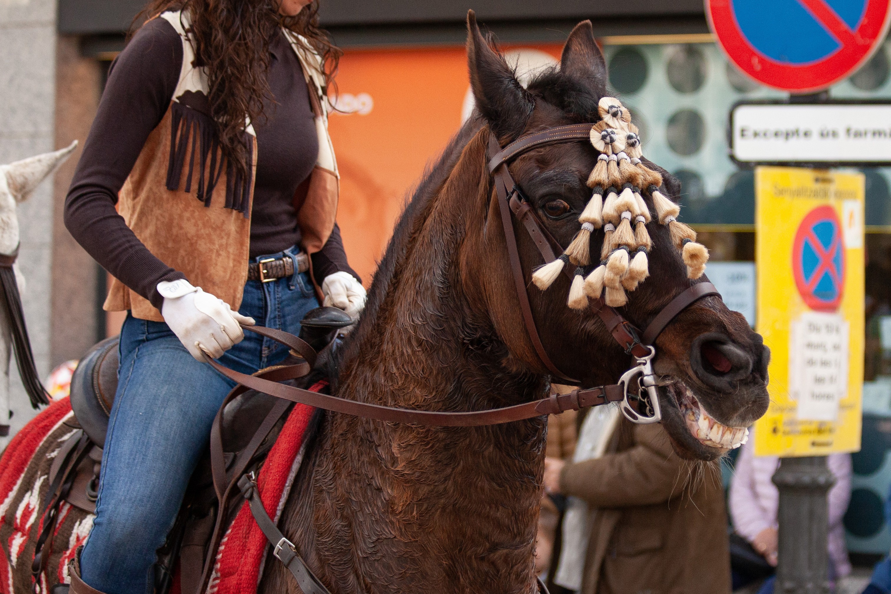 El Consejo de Protección Animal del Ayuntamiento de Barcelona avala poner fin al uso de animales en los “Tres Tombs"