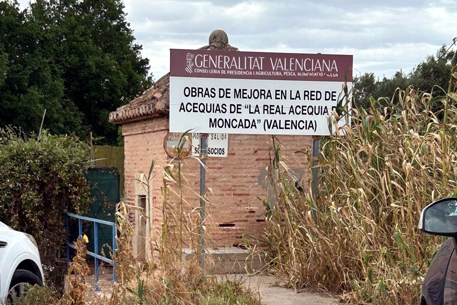 Condenadas por agredir a dos gestoras de colonias felinas en Paterna