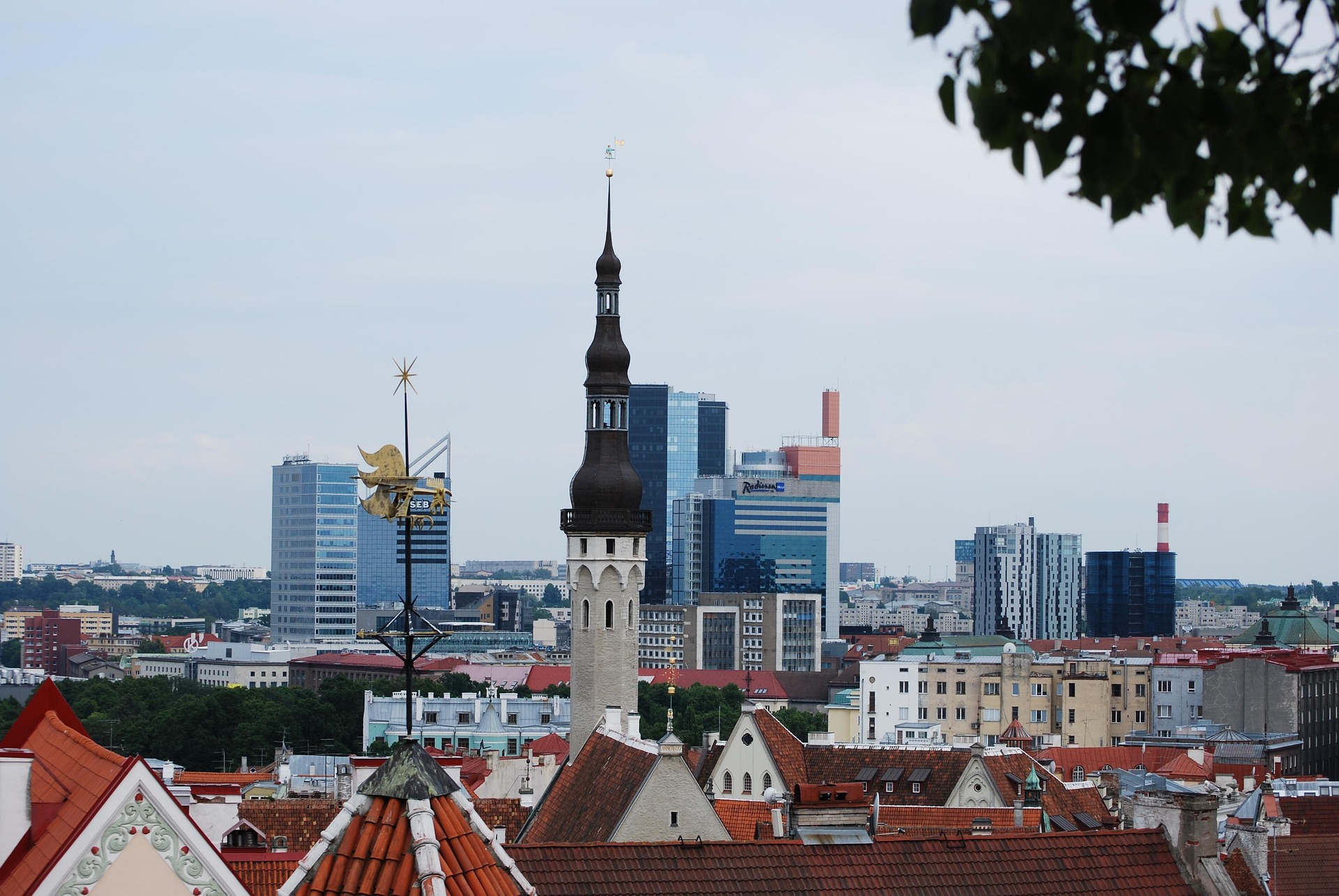 La sociedad estonia (OÜ) en la práctica: lo que conviene verificar antes de asesorar