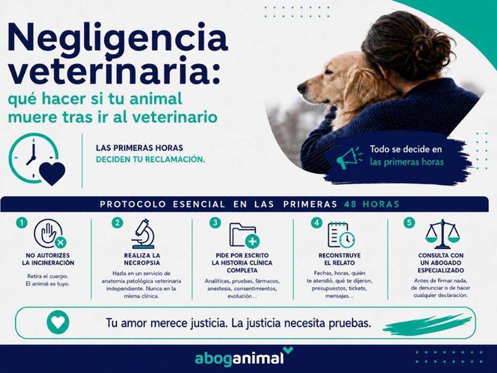 Negligencia veterinaria: qué hacer en las primeras horas si tu animal muere tras ir al veterinario