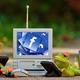 Delitos comunes en Facebook