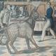 ¿Qué es el Derecho Animal?