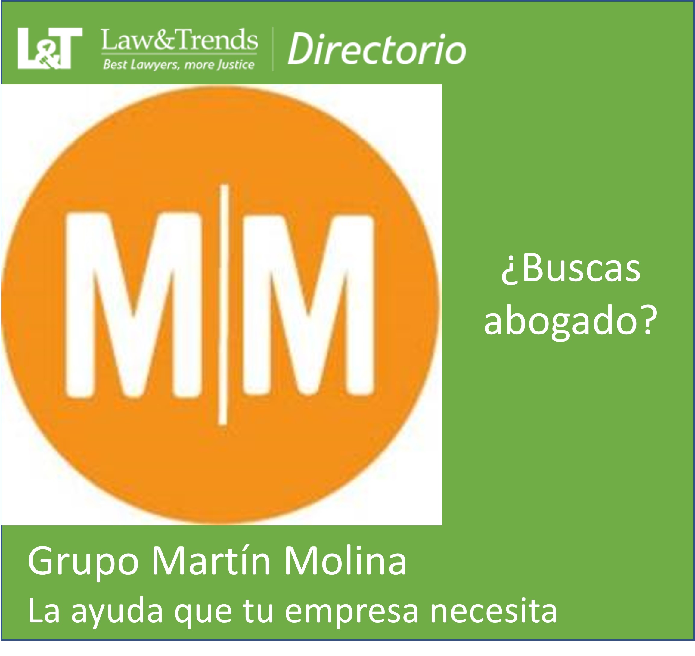 Grupo Martín Molina abogados madrid
