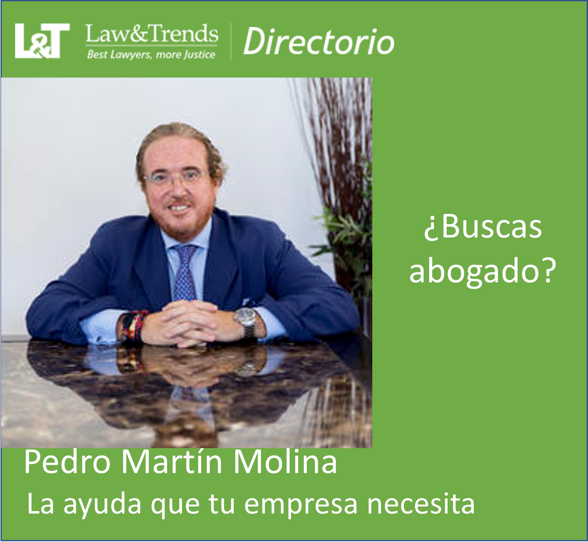 Grupo Martín Molina abogados madrid
